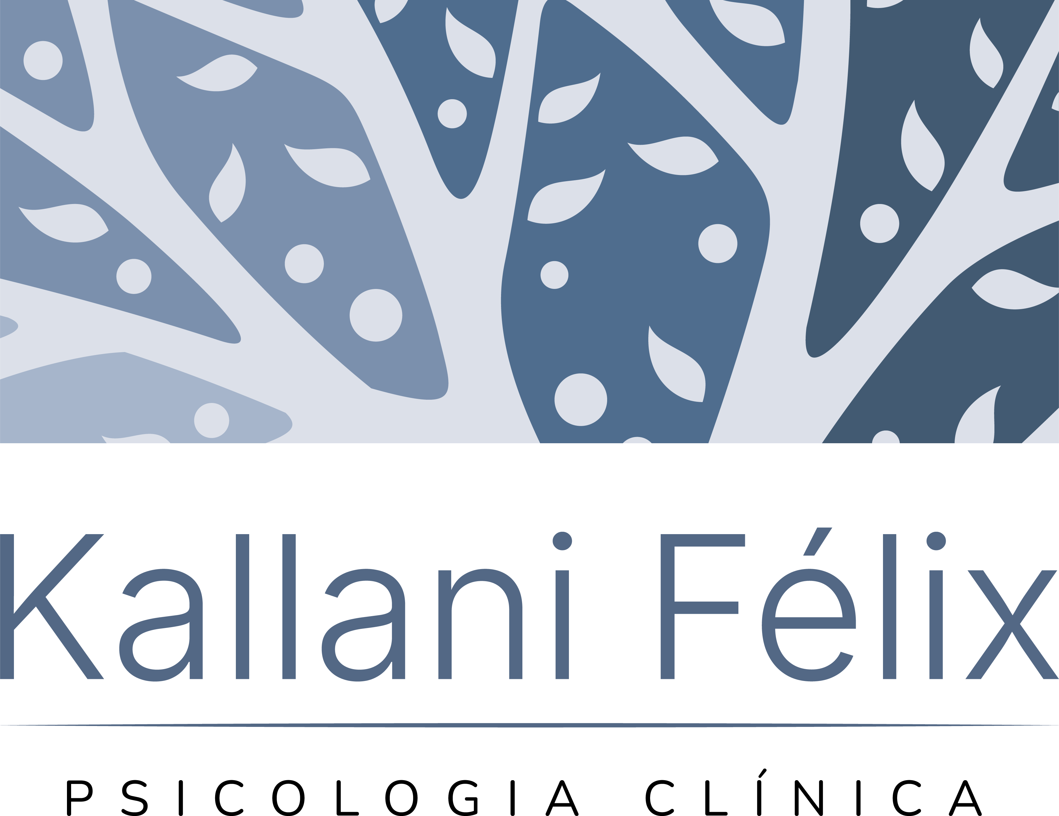 Logo Kallani Felix